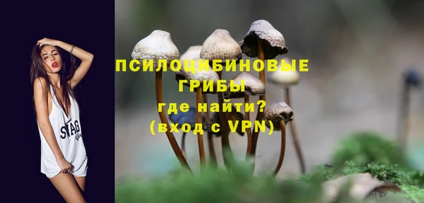 a pvp Надым